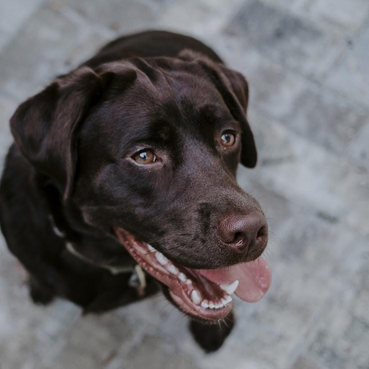 Landscape day trip near Lyon, France